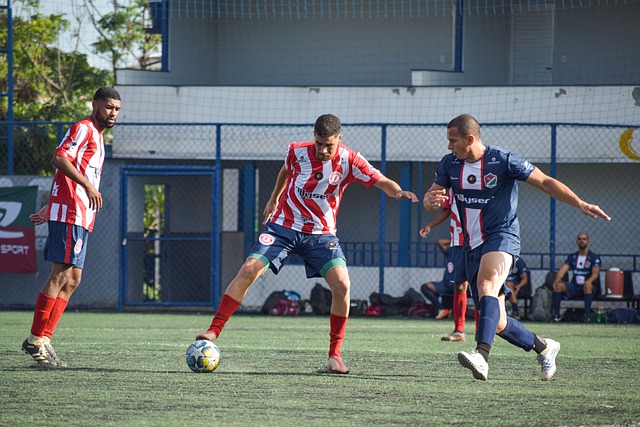 来发展的关 来发展的关